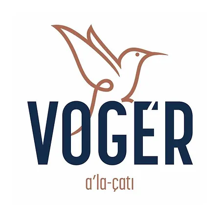Voger Silence * 阿拉恰特