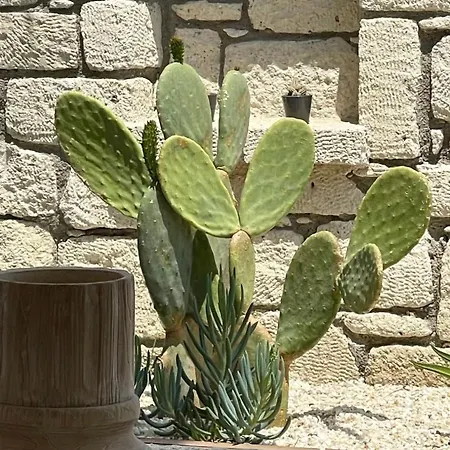 Voger Silence Алачати