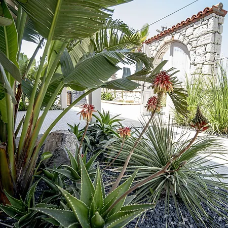 Voger Silence Отель Алачати