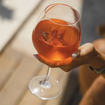 Voger Silence 阿拉恰特