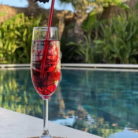 Voger Silence Отель